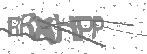 visual captcha